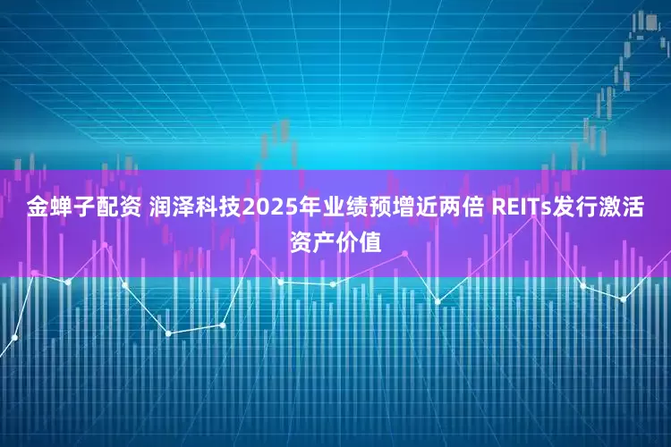 金蝉子配资 润泽科技2025年业绩预增近两倍 REITs发行激活资产价值